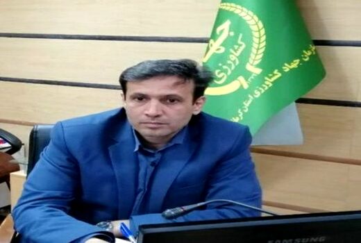آغاز به کار اولین واحد فرآوری و بسته بندی کشمش در استان کرمانشاه
