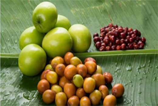 بررسی وضعیت تولید میوه های گرمسیری در ایران 