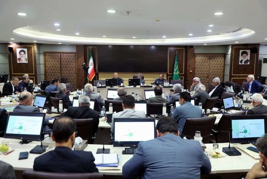 واردات گندم به صفر رسیده است/ افزایش عملکرد با ترویج کشت گندم مقاوم به آفات و کم‌آبی