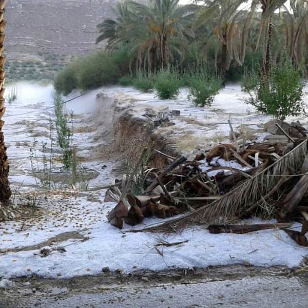 تخصیص بیش از ۲۸۰ میلیارد ریال برای جبران خسارت سیل 