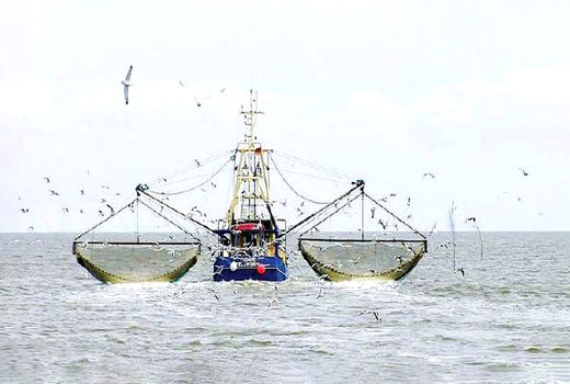 منافع فعالیت کشتی‌های چینی در آب‌های کشور به ایران می‌رسد