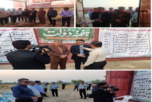 افتتاح طرح گلخانه سبزی و صیفی در شهرستان دشتی