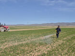 اجرای دو طرح ملی برای تقویت بهره‌وری مزارع دیم در روستای آق‌بابا قزوین