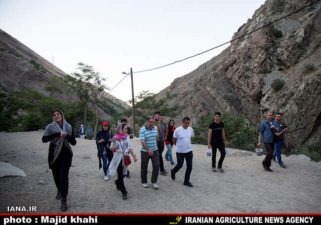 کوه پیمایی
