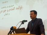 گندم آبی باید بر اساس میزان دسترسی به آب مدیریت شود