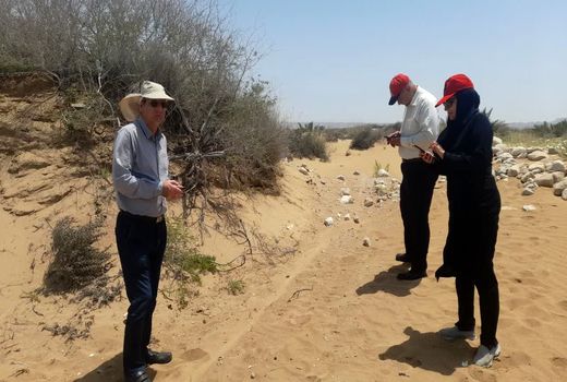 ردیابی ملخ صحرایی در استان بوشهر با جدیت در حال انجام است 