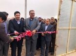بهره‌برداری از طرح آبیاری تحت فشار باحضور قائم مقام صندوق