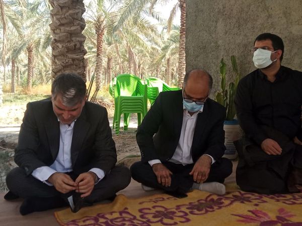 بازدید وزیر جهاد کشاورزی از نخیلات شهرستان تنگستان