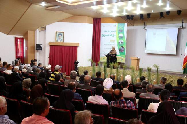 روز ملی برنج