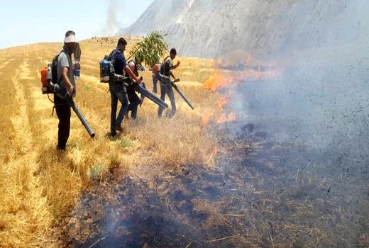 بیش از ۱۰۰ هکتار از پس چرای مزارع کشاورزان روستای شیخ‌مکان طعمه حریق شد
