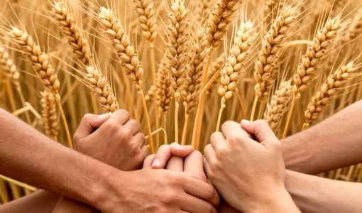 وحدت ملی، امنیت ملی، اقتصاد مقاومتی؛ سه ضلع کلیدی توسعه در شعار سال ۱۴۰۵