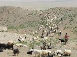 خرید تضمینی ۲۰۰ هزار راس دام عشایر خراسان شمالی آغاز شد
