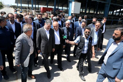 وزیر جهاد کشاورزی از یک واحد پرورش گاو شیری در بویین زهرا بازدید کرد