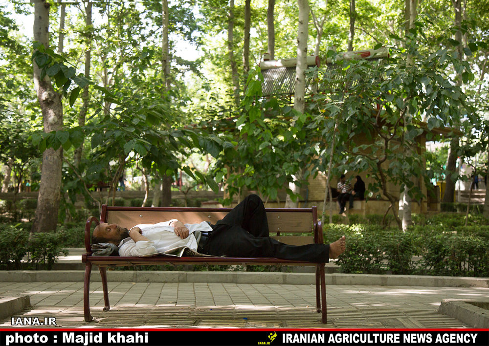 استراحت در فضای سبز شهری
