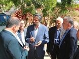 تشکیل کارگروه برای پیگیری مباحث کشاورزی خراسان جنوبی