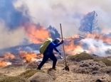 9جانباخته آتشسوزی جنگلها «فداکار خدمت» شناخته شدند