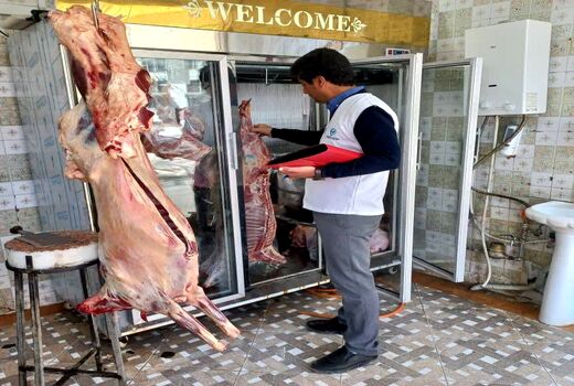 طرح تشدید نظارت دامپزشکی در فارس آغاز شد
