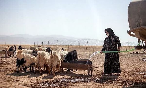 توانمندسازی کارشناسان امور عشایر خوزستان در مواجهه با خشکسالی