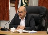 خرید بیش از ۱۶۵هزار تن گندم در استان قزوین