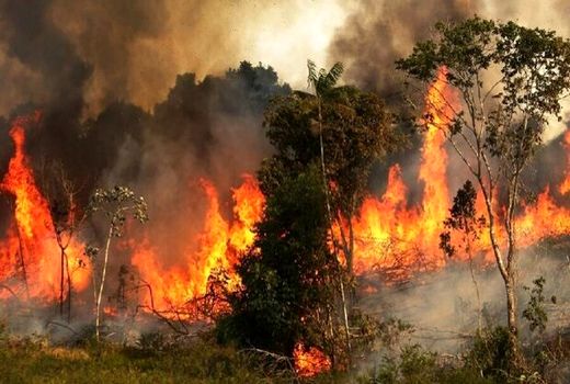 آتش به جان طبیعت، آتش به جان خودمان است
