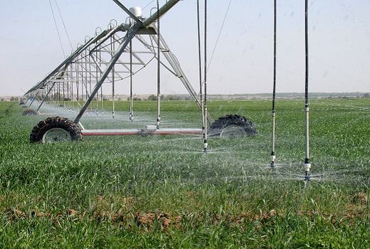 واگذاری پروژه رفع نقص کانال کنجاچم