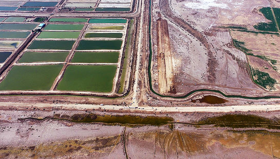 اقدامات جهاد کشاورزی در رفع بیابان‌زایی