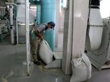 ادامه افزایش هزینه‌ها بقای کارخانجات آرد را تهدید می‌کند