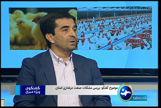 رشد 53 درصدی میزان جوجه ریزی در استان  آذربایجان شرقی نسبت به ماه مشابه سال گذشته 