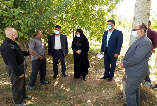 بازدید رییس سازمان جهاد کشاورزی استان قزوین از طرح عمومی آبیاری باغات روستای قدیم آباد