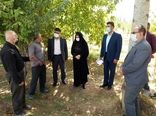 بازدید رییس سازمان جهاد کشاورزی استان قزوین از طرح عمومی آبیاری باغات روستای قدیم آباد