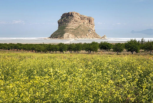کاهش 40درصدی مصرف آب دریاچه ارومیه برای کشاورزی