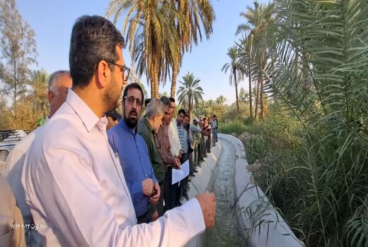 بهره برداری از 45 طرح زیر بنایی کشاورزی در کازرون