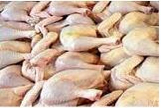 تولید 6800 تن گوشت سفید در نور/ ارزش اقتصادی 1500 میلیاردی