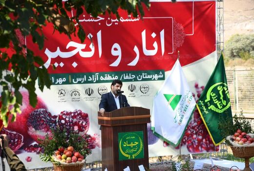 تولید 6 هزار تن محصول انار و 1100 تن انجیر در استان آذربایجان شرقی 