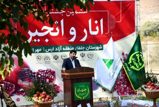 تولید 6 هزار تن محصول انار و 1100 تن انجیر در استان آذربایجان شرقی 