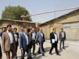 اهتمام مدیران برای تسهیل فعالیت تولیدکنندگان 
