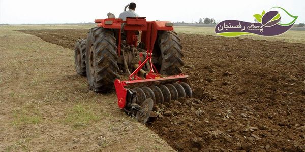 افزایش عملکرد گندم در گرو انتخاب زمان مناسب کاشت 