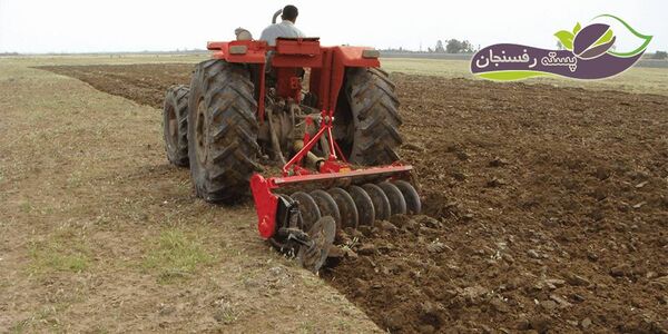 افزایش عملکرد گندم در گرو انتخاب زمان مناسب کاشت 