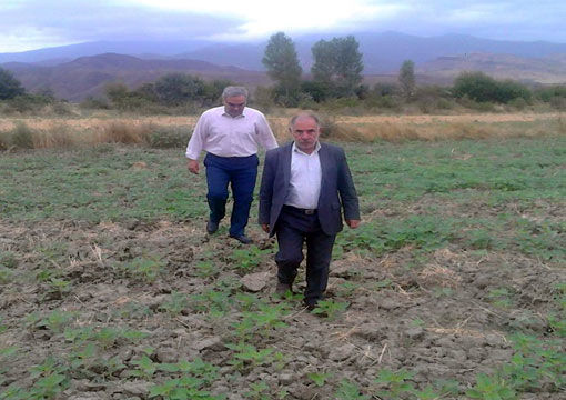 بهره برداری 150 هکتار اراضی کشاورزی از سیستم آبیاری کم فشار در شهرستان خداآفرین