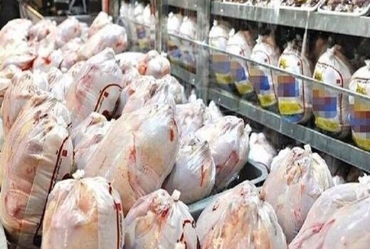 کشف و توقیف ۳۰۰ کیلوگرم مرغ گرم در استان قزوین