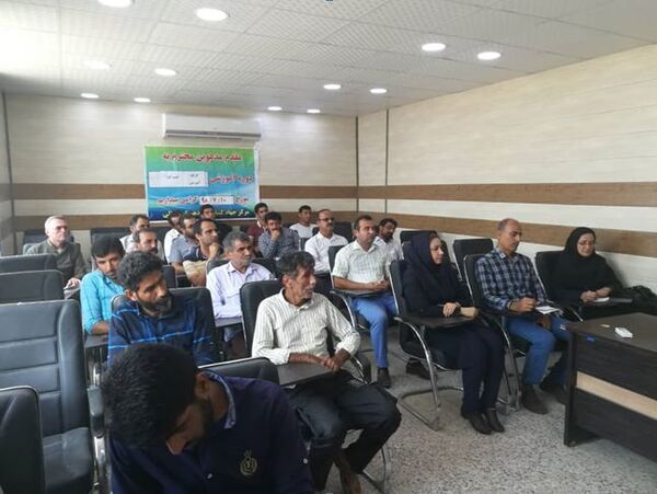 400هکتار از اراضی کشاورزی شهرستان بوشهر به زیر کشت کلزا می رود