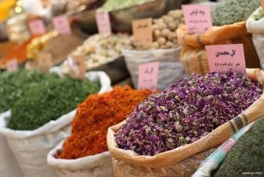 زمینه صادرات گیاهان داروئی را فراهم می‌شود