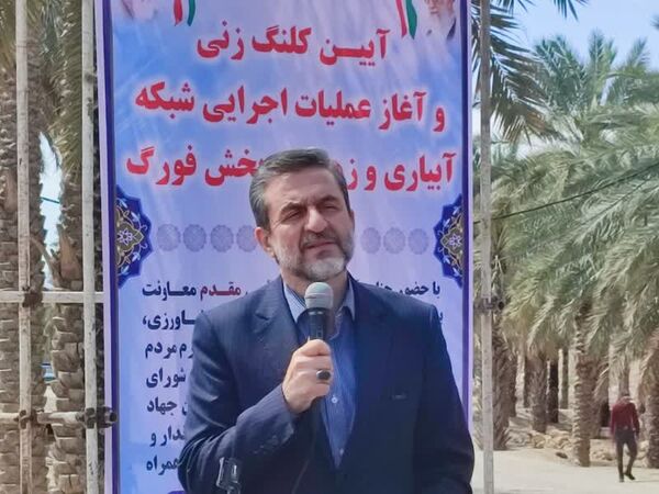 افزایش ۳۰ درصدی تولید گندم در کشور برآورد می‌شود/ لزوم اجرای صحیح الگوی کشت در کشور