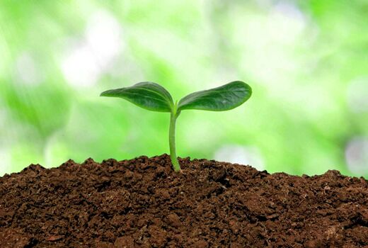رونمایی از یک نرم افزار مدیریت خاک در انگلیس