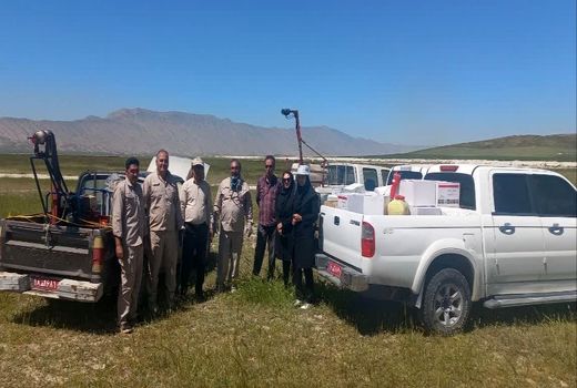 سمپاشی علیه ملخ مراکشی در کازرون ادامه دارد