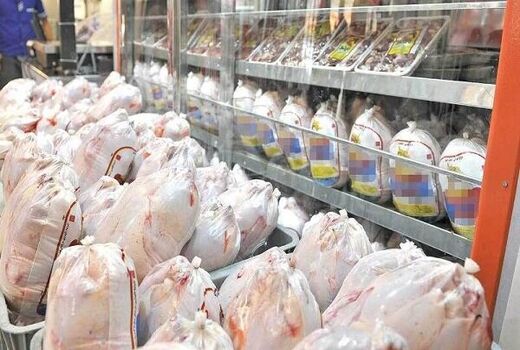 توزیع روزانه 300 تن مرغ گرم در بازار 
