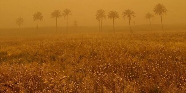 رایزنی ایران با عراق برای مقابله با گرد و غبار و توسعه کشاورزی حفاظتی