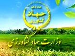 تدوین سه شیوه نامه کاربردی در وزارت جهاد کشاورزی
