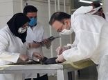فرایند تشخیص علت تلفات پرندگان حیات وحش در میانکاله تبیین شد