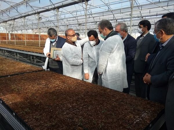 ۵۰۰ هزار هکتار از اراضی به نفع کشاورزان رفع تداخل شد